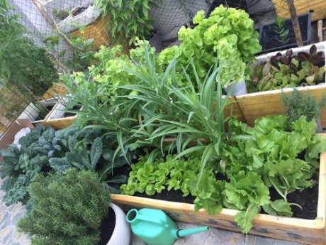 Nguong mo mo hinh VAC cua chang trai 9x o ngay trung tam Ha Noi - Anh 17