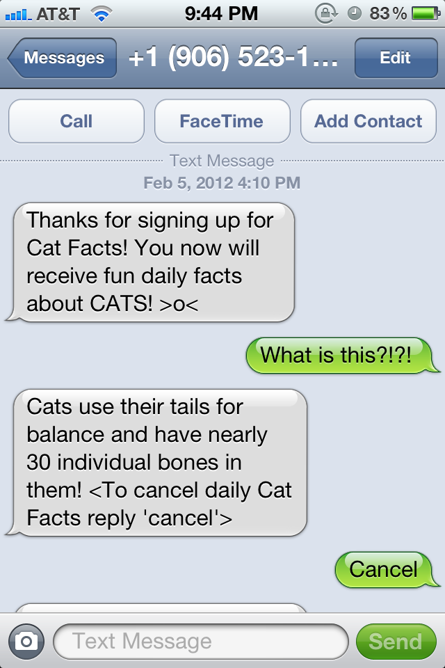 inside scoop from a cat facter