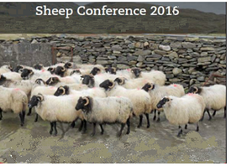 Portable Antiquity Collecting and Heritage Issues: A Review of the PAS Portable Antiquity Collecting and Heritage Issues: A Review of the PAS