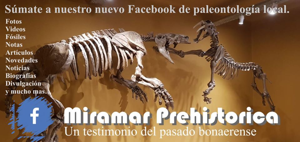 Miramar Prehistórica. Seguinos en Facebook.