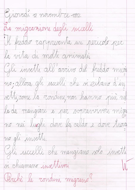 Come Si Chiamano Gli Uccelli Che Non Migrano