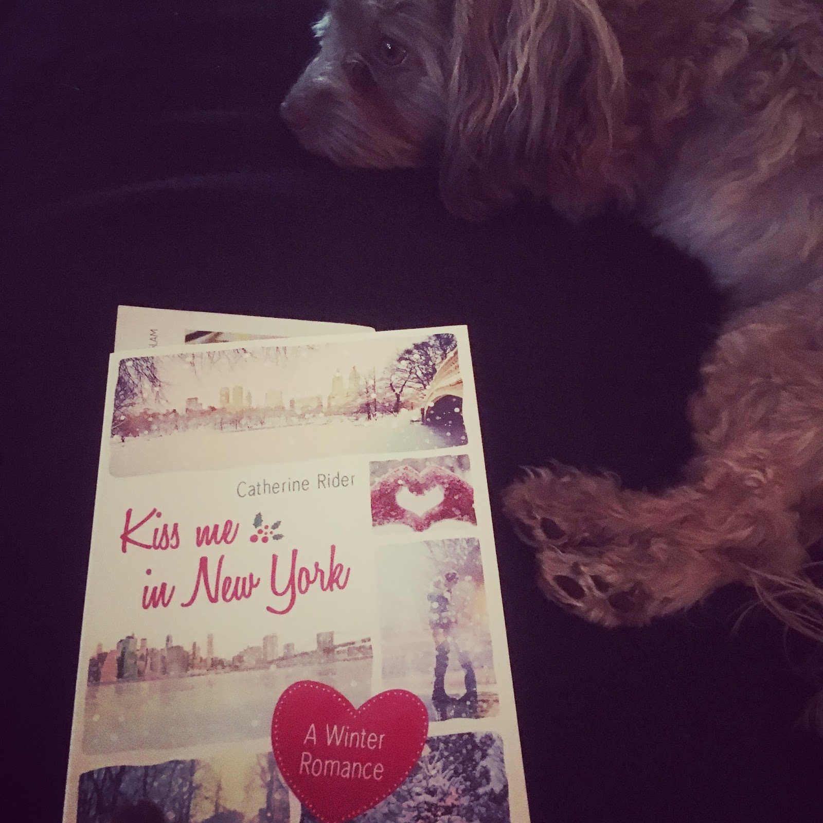 Anie´s Welt Kiss me in New York (Rezension)