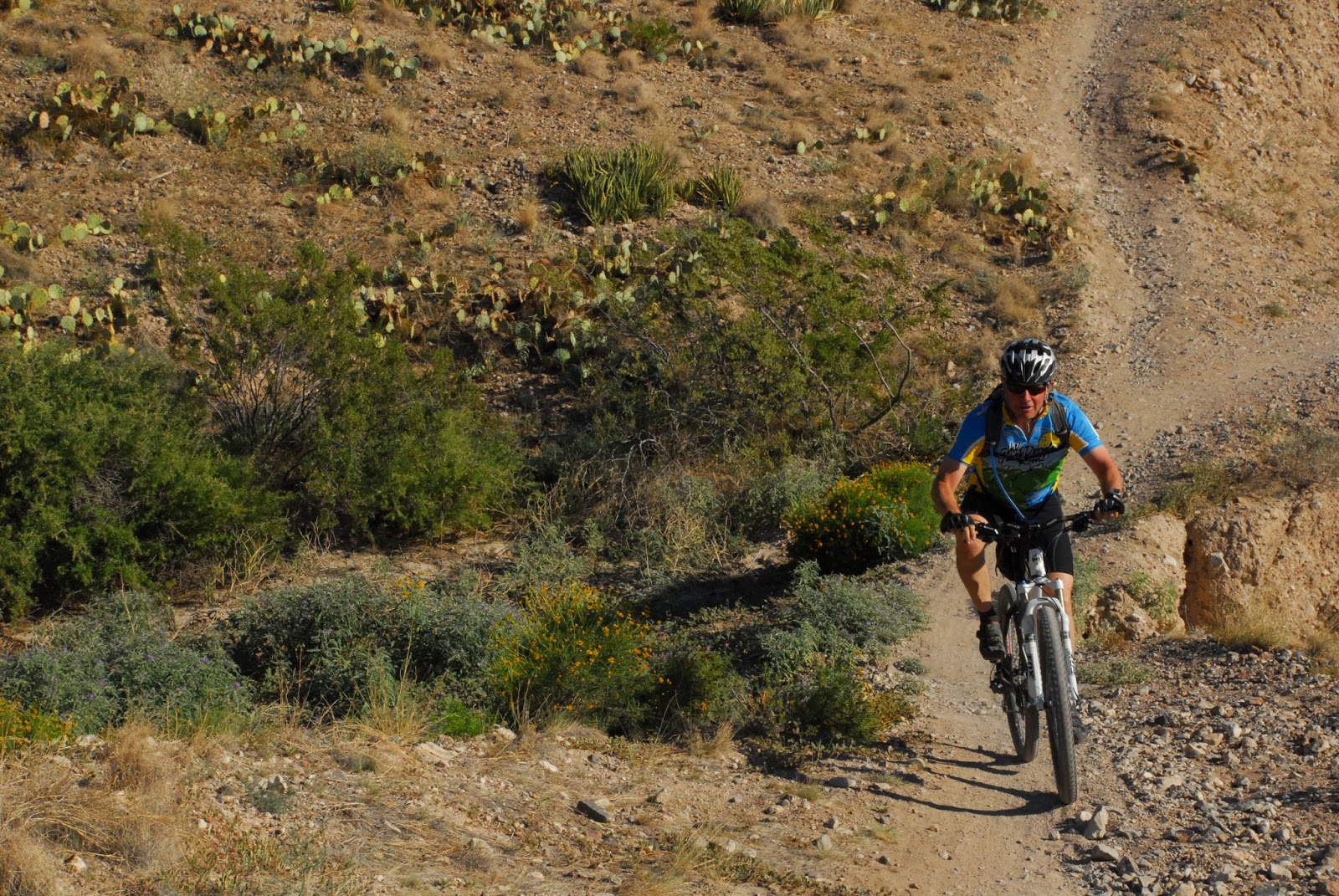 Texas Mountain Trail Daily Photo One of El Paso's Great Hike/Bike Trails