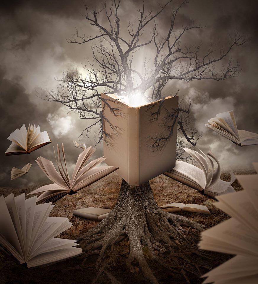 free entry writing contests free entry writing contests