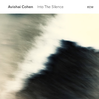Avishai Cohen Into the Silence Album Cover