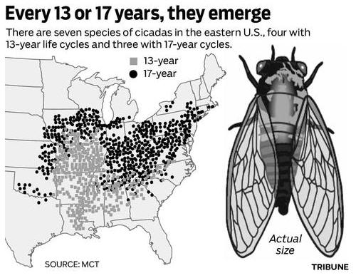 Brainy Girls!: Articles