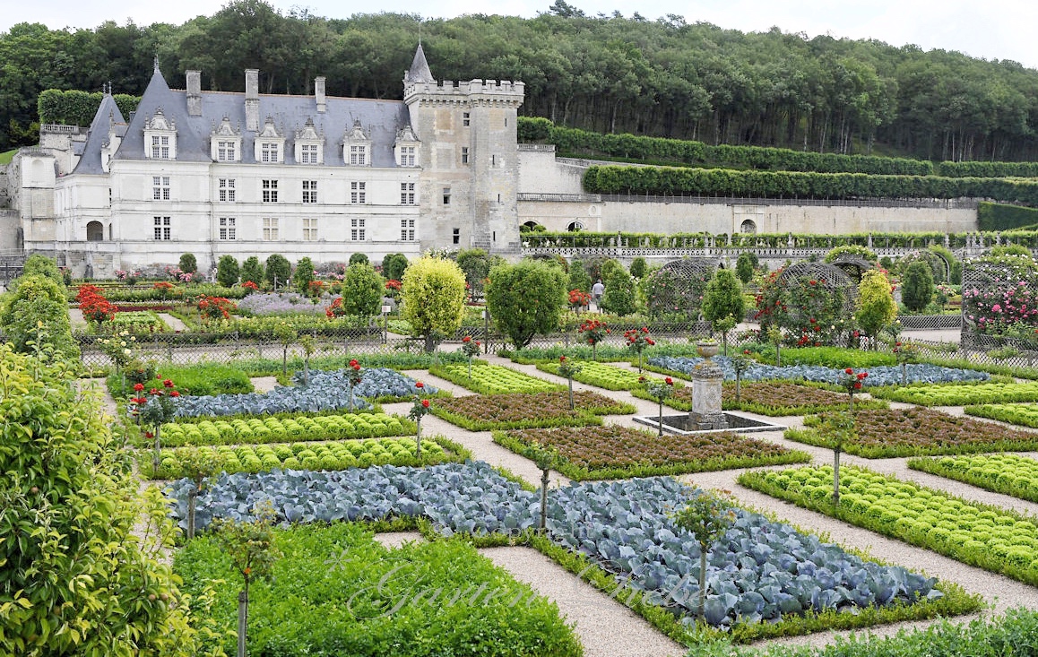 *GartenLiebe* besuch im.....Schloss Villandry F