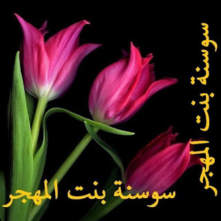 قصائدي وخواطري على مجلة بوح الشام وزين الشام وساكن الوجدان  FB_IMG_1477347748924