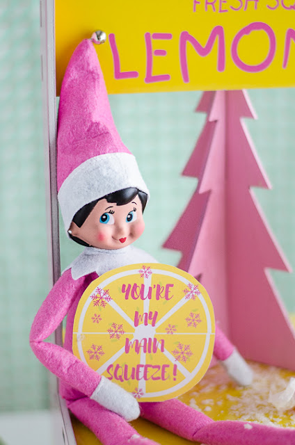 Elf on the Shelf Ideas