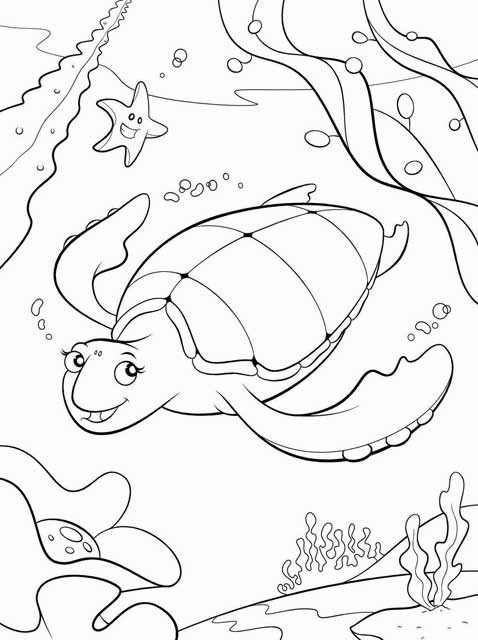 Kids Page: Sea Turtle Coloring Pages | Printable Sea Turtle Coloring