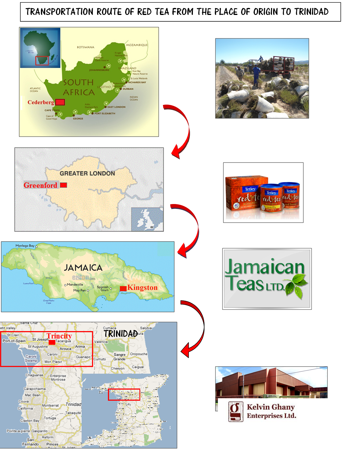 Commodity Chain of Tetley Red Tea / Rooibos