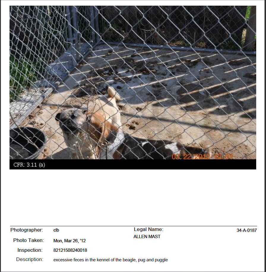 Puppy Mill Awareness Southeast Michigan Allen Mast USDA Kennel License