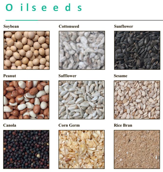 palm oil machine oilseeds processing flow chart