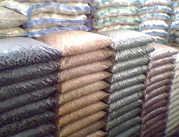 daftar harga batu koral sikat terlengkap tahun 2017 batu daftar harga batu koral sikat terlengkap tahun 2017 batu