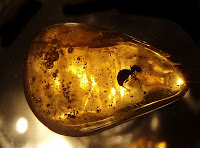 batu amber