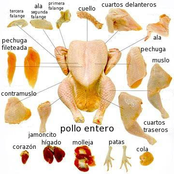 Partes del pollo en español