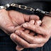 Two brothers arrested in Lushnje after attempting to put cannabis in prison