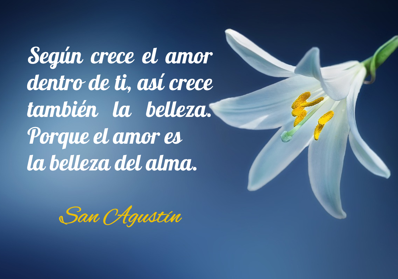 Lecciones Para Amar Frases De San Agustin Sobre El Amor