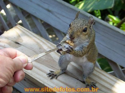 Mucho LoooCo: Era só oque faltava...