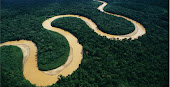 RÍO AMAZONAS