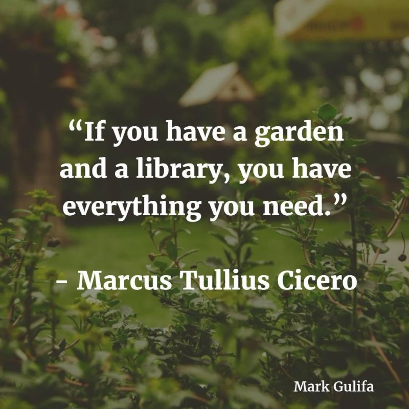 Greetings From Socal February 2018