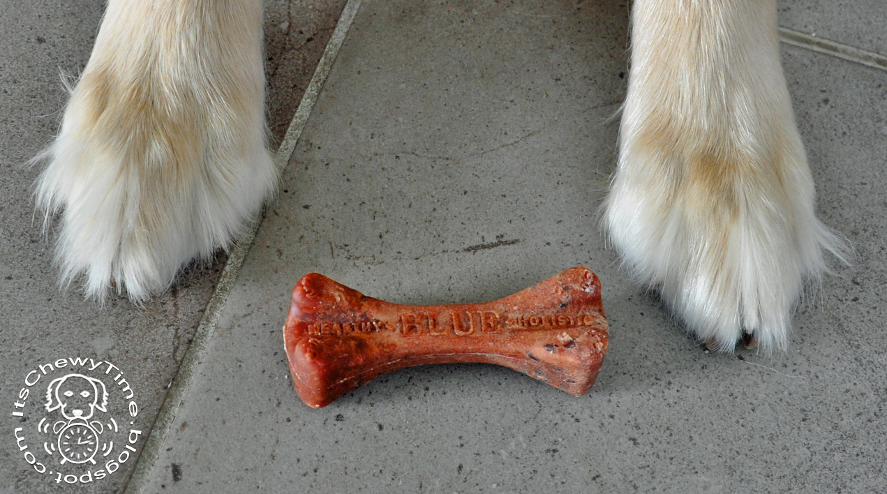 blue buffalo dental bones large