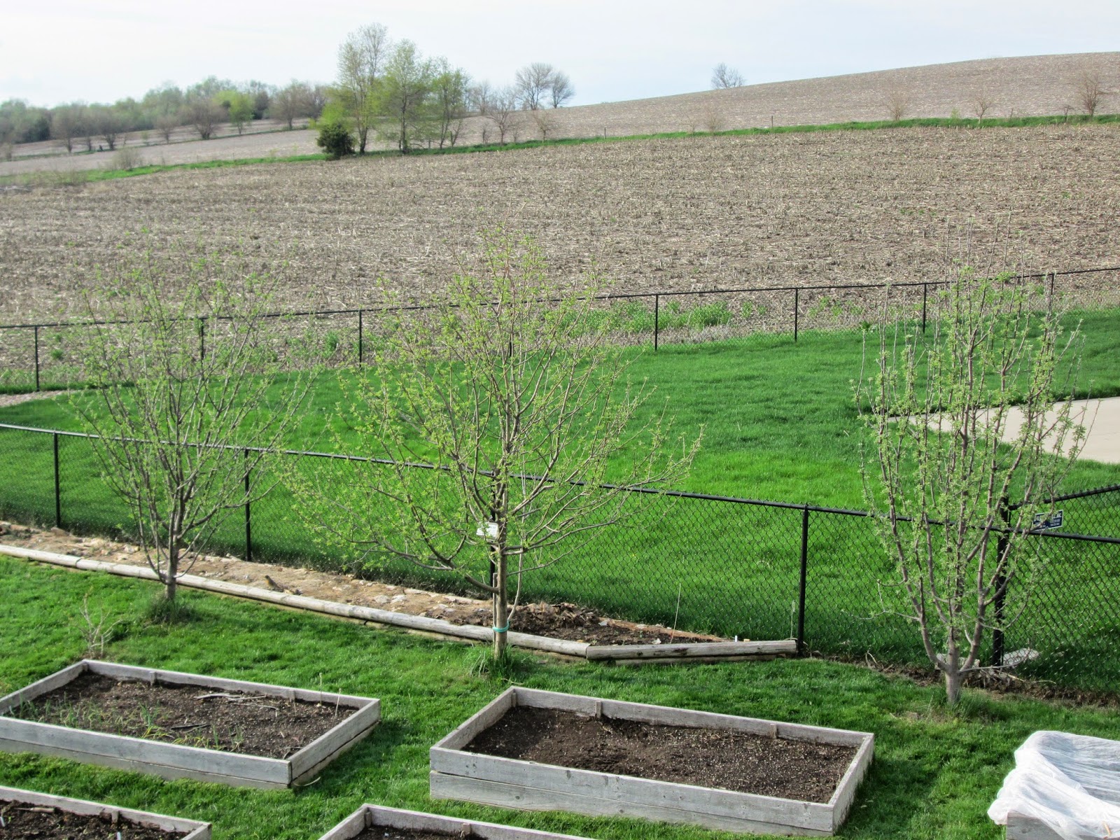 The Farmers Market in Ely, Iowa