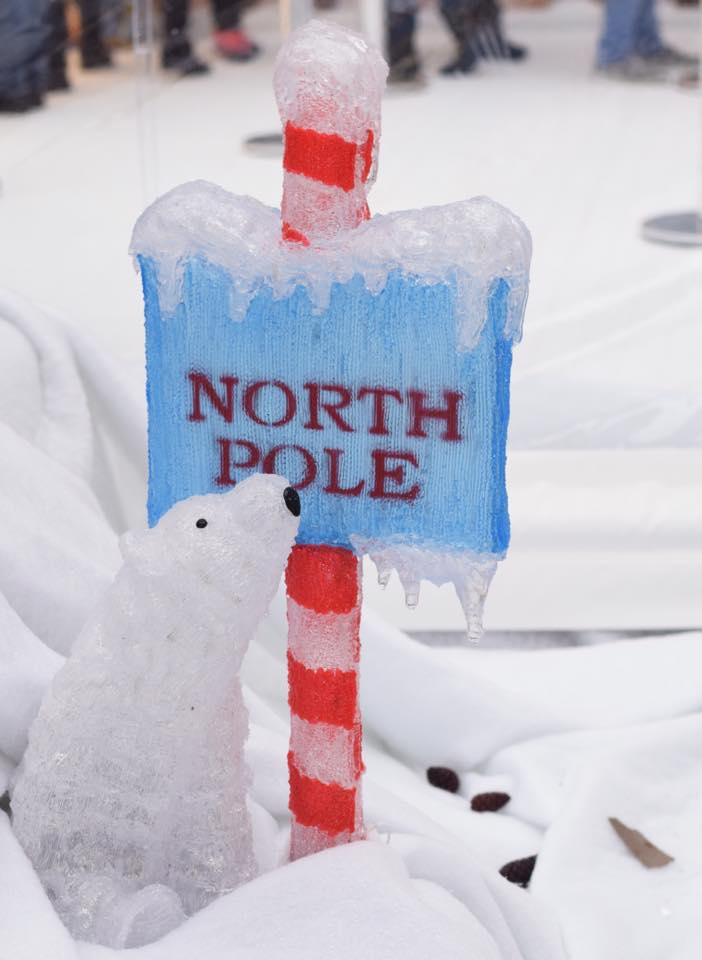 Take A Polar Expedition At The Intu Trafford Centre Red Rose Mummy