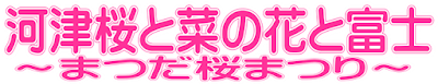 河津桜と菜の花と富士〜松田町:まつだ桜まつり〜