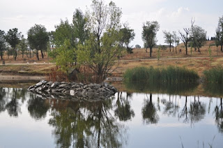 leganes-mi-ciudad-arroyo-butarque-5