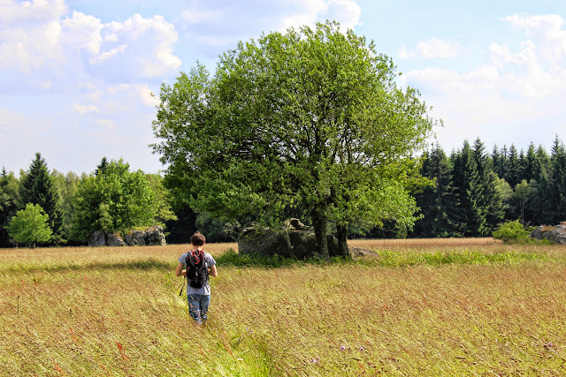 Skały Puchacza/ Szczeliniec Wielki/ Sawanna Łężycka