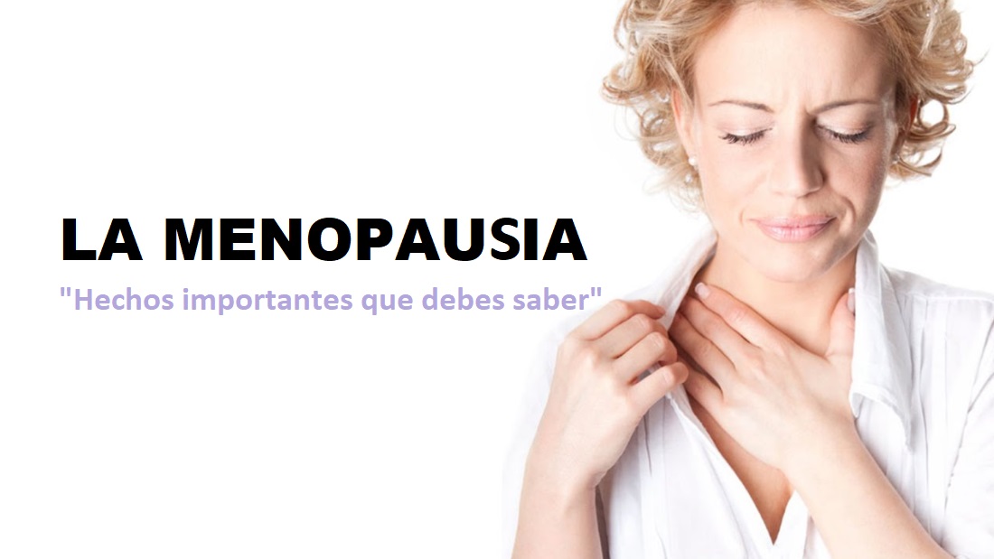 8 cosas importantes que tienes que saber acerca de la menopausia Stevia Natural 8 cosas importantes que tienes que saber acerca de la menopausia Stevia Natural