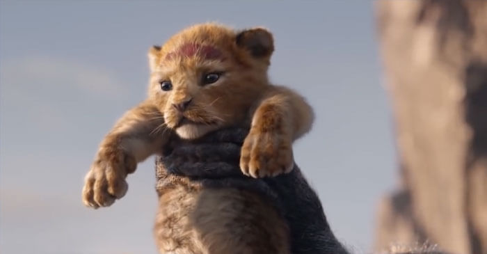 A Fan Compared The Lion King 2019 To The 1994 Disney Animation Side By Side