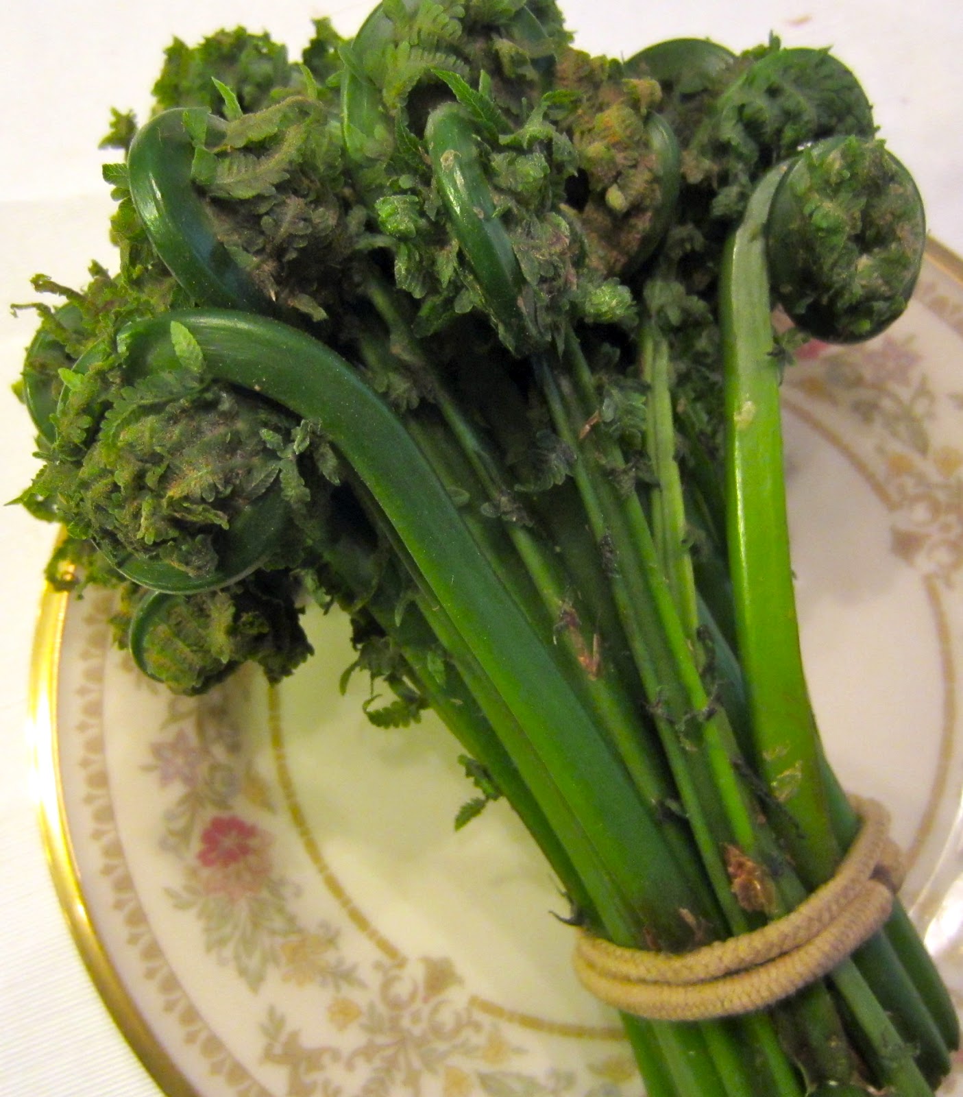 Taste of Nepal: Fiddlehead Fern - Neuro, Niuro (नीयूरो)