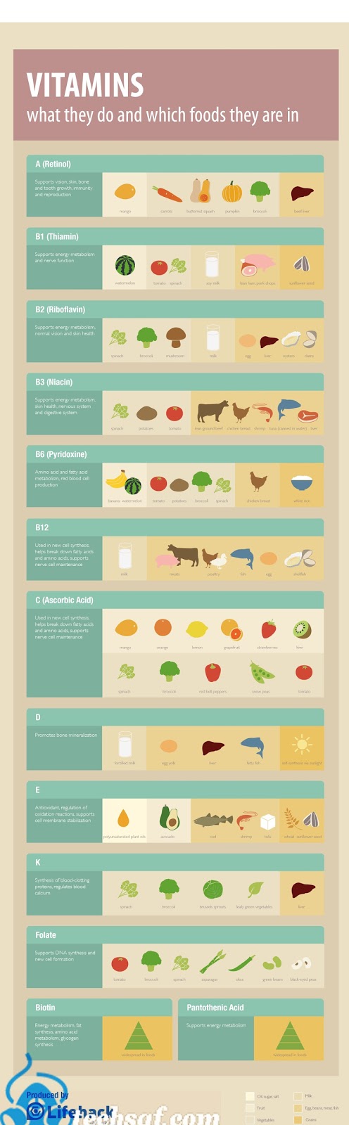 Vitamins Cheat Sheet: What They Do and Good Food Sources [Infographic ...