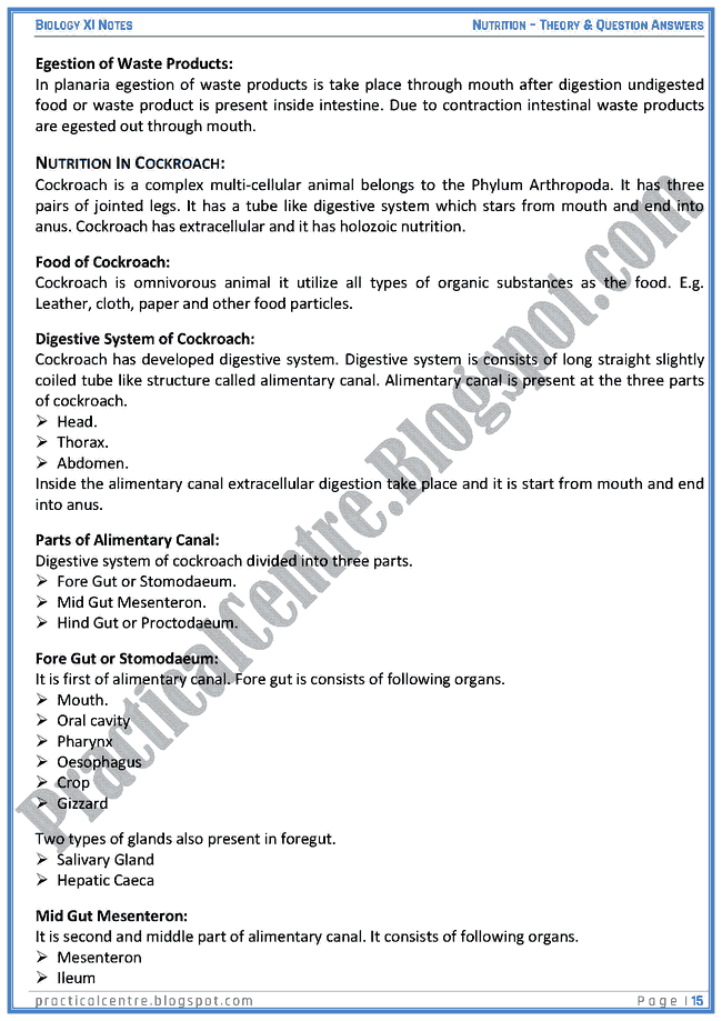 nutrition-theory-and-questions-answers-biology-xi