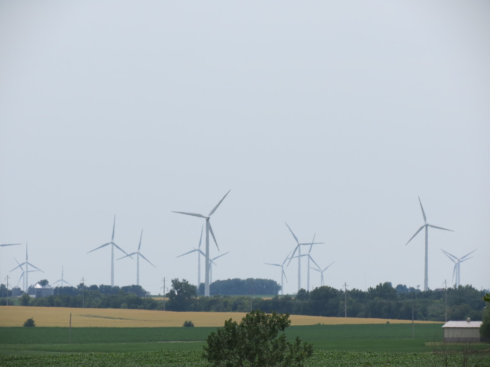 Our Nature Wind Farming