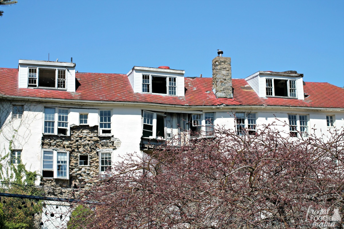 Frugal Foodie Mama 5 Unique Things to Do In & Around Harpers Ferry