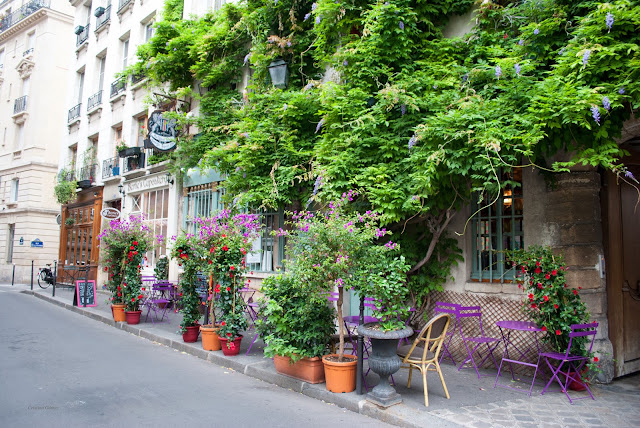 au vieux paris d'arcole restaurant purple chairs au vieux paris d'arcole restaurant purple chairs