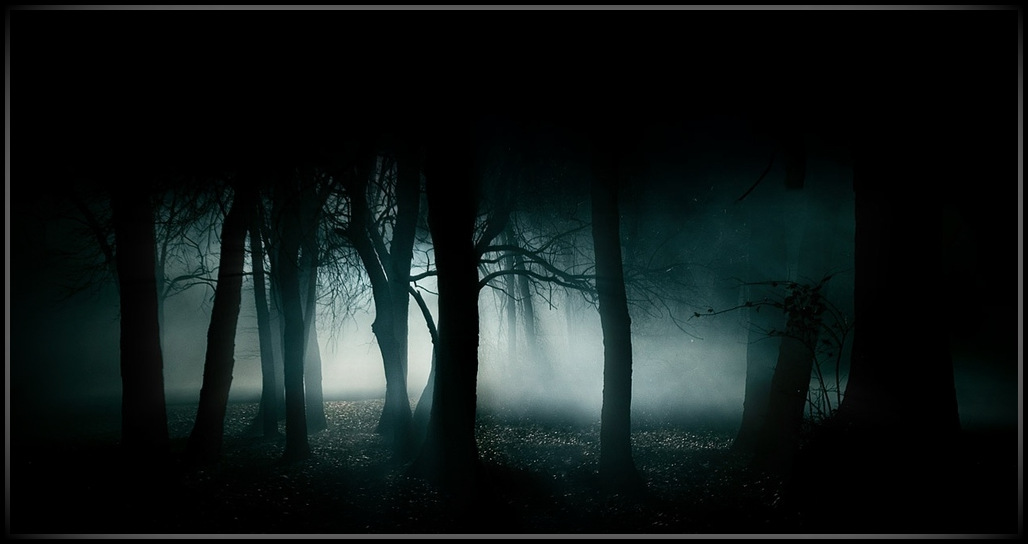 [Image: 1-dark-forest-night.jpg]