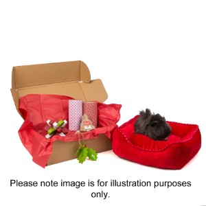 http://www.petsathome.com/shop/en/pets/small-pet/small-pet/christmas-small-pet-products/christmas-pets-parcel-for-rabbits-and-guinea-pigs