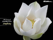 Friendship Wallpaper.Friendship card wallpapaer.Cuote wallpaper (friendship wallpaper )