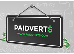 INCOME MONEY FROM ONLINE PAIDVERTS