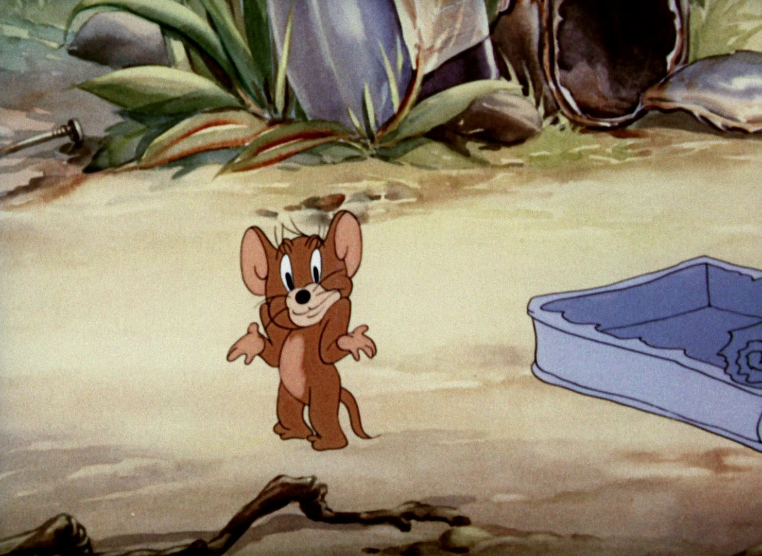 Tom Amp Jerry Pictures Quot Sufferin Cats Quot