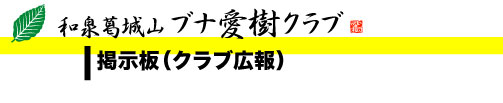 掲示板（クラブ広報）