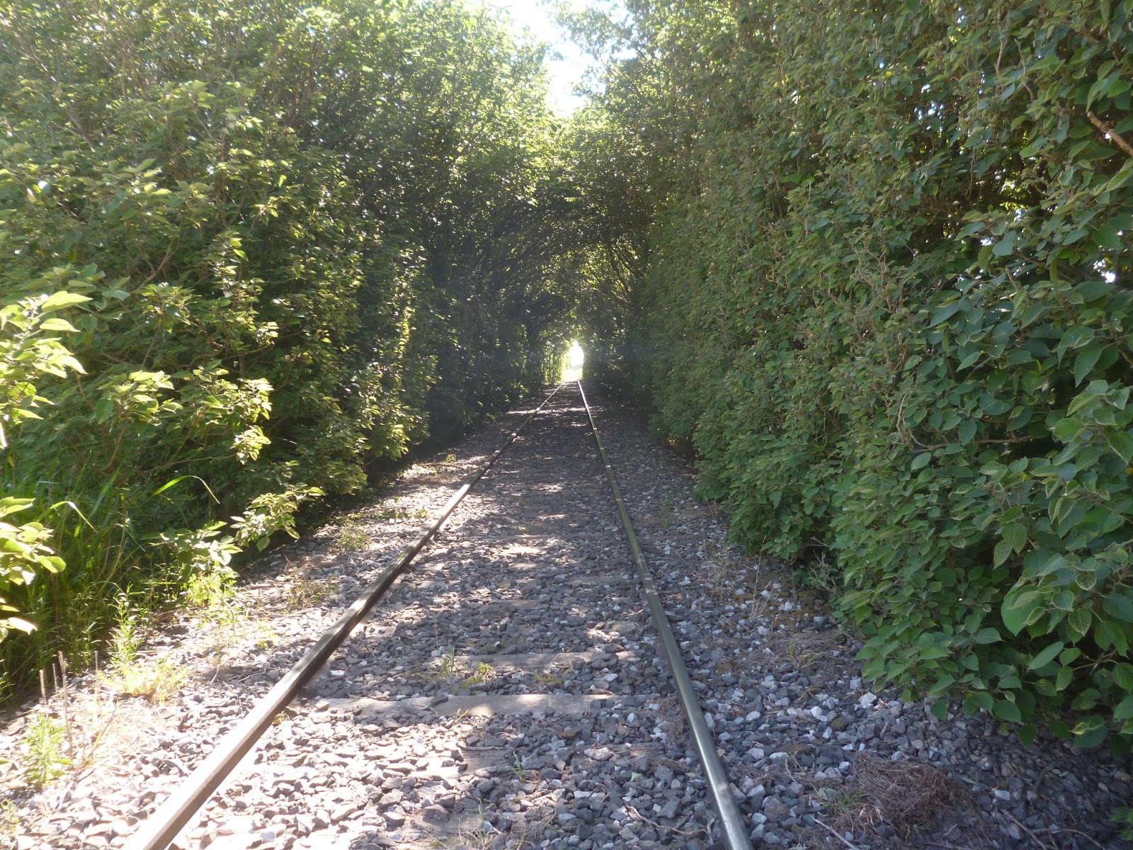 Mirar al Mundo Coronel Bogado (Santa Fe)