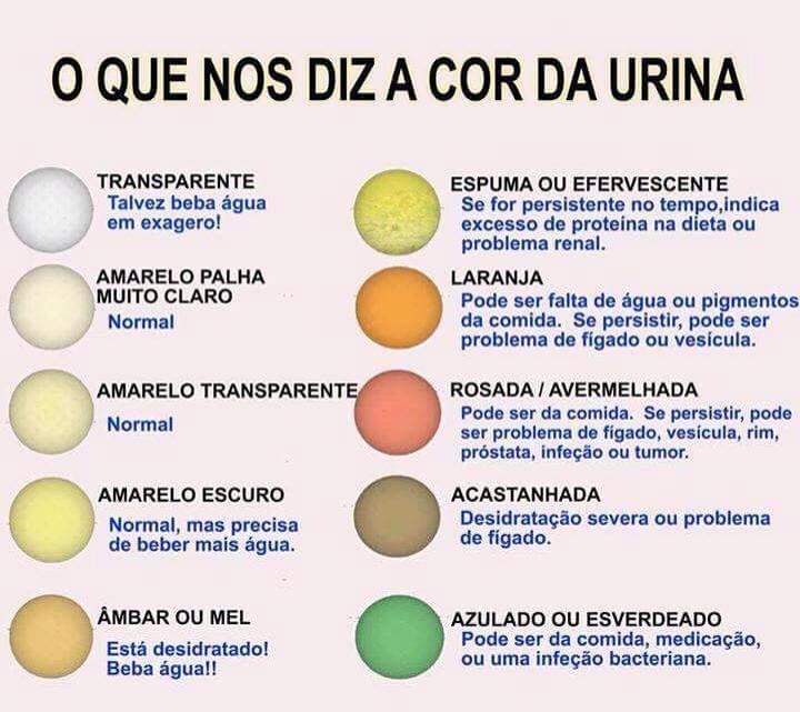 Blog do Iran Froes Cor da