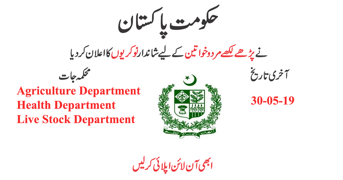 Jobs In Rozgar Pakistan Programme 2020 Say Job City