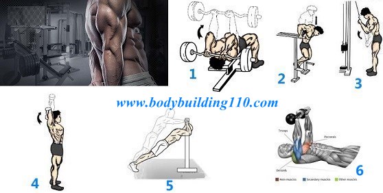 6 Best Tricep Exercises For Building Mass ~ www.bodybuilding110.com