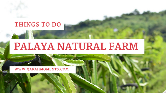 Things to do in Palaya Natural Farm